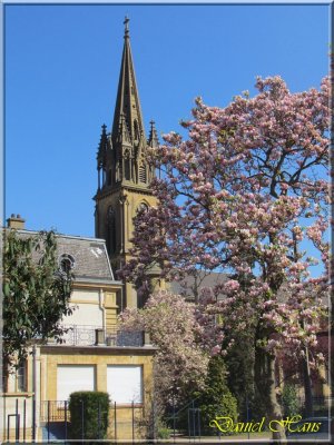 printemps 2011 au pays des Renards 36.jpg