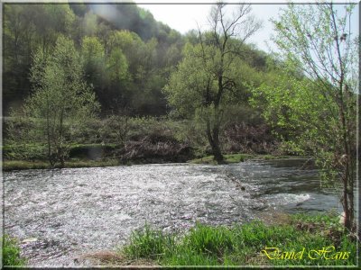 printemps 2011 au pays des Renards 44.jpg