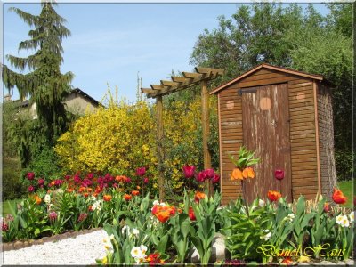 printemps 2011 au pays des Renards 49.jpg