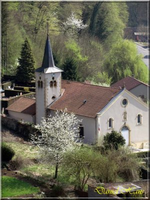 printemps 2011 au pays des Renards 50.jpg
