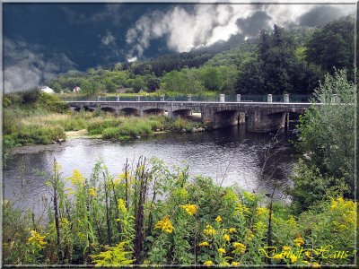 printemps 2011 au pays des Renards 194.jpg