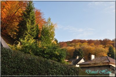 Automne 2011 25.jpg