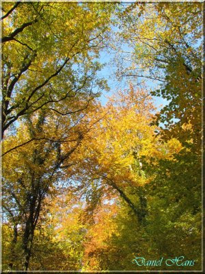 Automne 2011 109.jpg