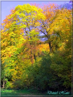 Automne 2011 115.jpg