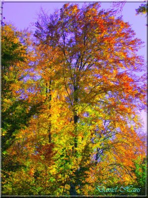 Automne 2011 116.jpg