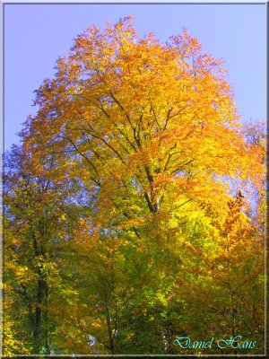 Automne 2011 117.jpg