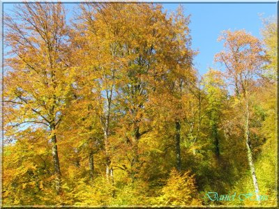 Automne 2011 120.jpg