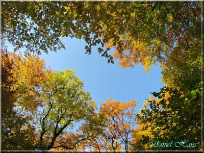 Automne 2011 134.jpg