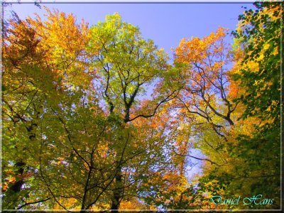 Automne 2011 135.jpg