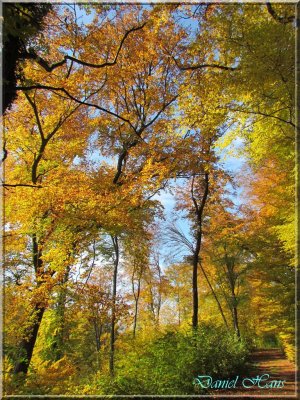 Automne 2011 138.jpg