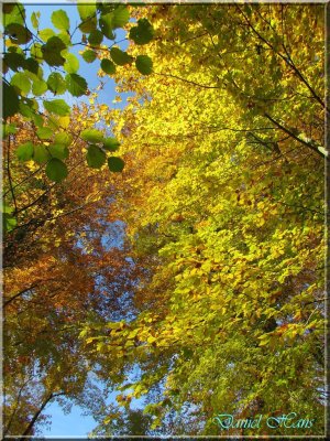 Automne 2011 139.jpg