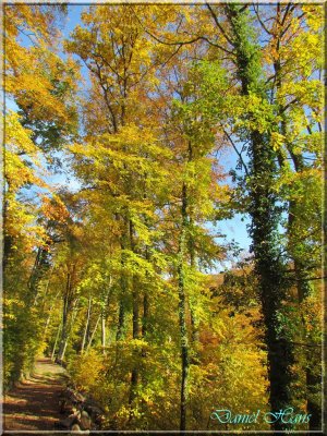 Automne 2011 149.jpg