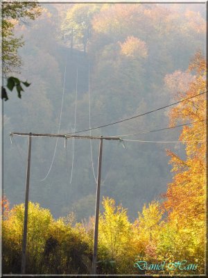 Automne 2011 151.jpg