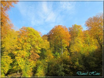 Automne 2011 155.jpg