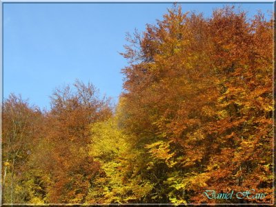 Automne 2011 158.jpg