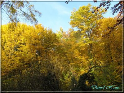 Automne 2011 166.jpg