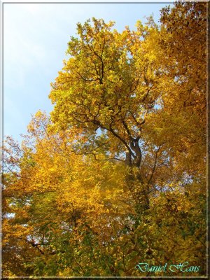 Automne 2011 167.jpg