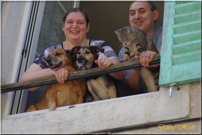 des spectateurs qui ne manquent pas de chien-border.jpg