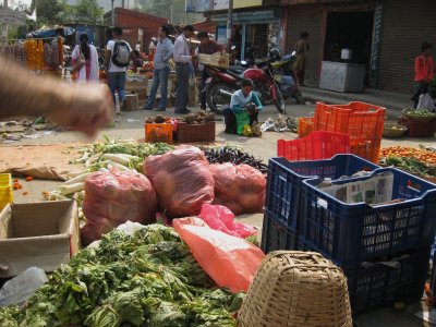 nepal_2011