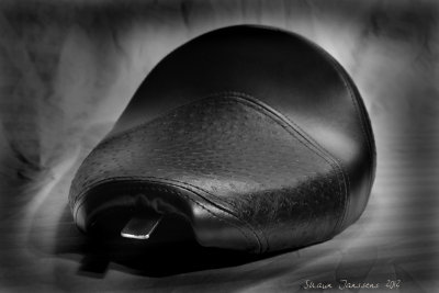 DSC_0120_3.jpg