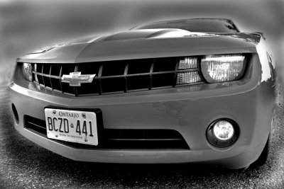 DSC_0025_12.jpg