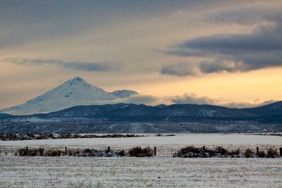Mt Shasta from Klamath NWR