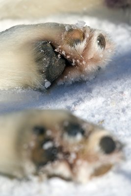 IMG_2401.jpg