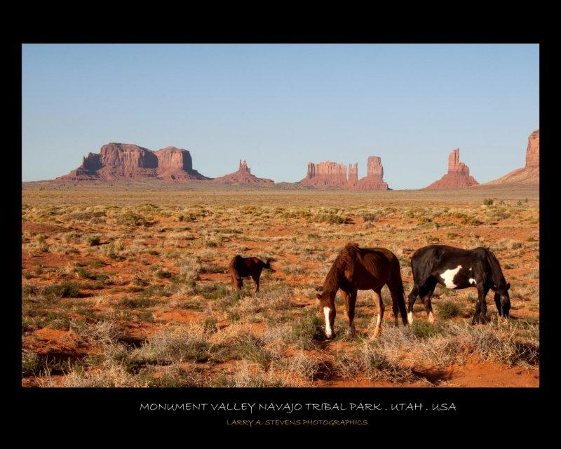 Monument Valley - Horses-3