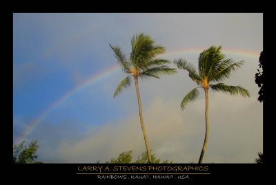 KAUAI - Double Rainbow & Palms