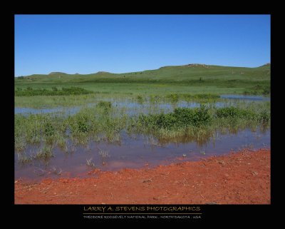 THEODORE ROOSEVELT NP - Gamma