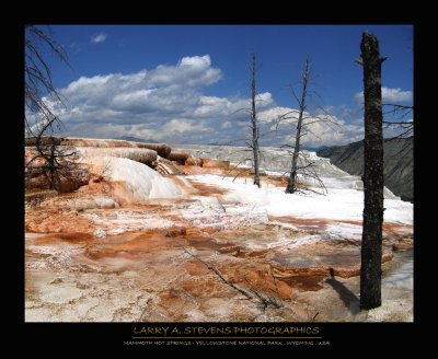 YELLOWSTONE NP - Mammoth Hot Springs