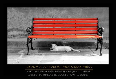 CAT UNDER A RED BENCH (China)