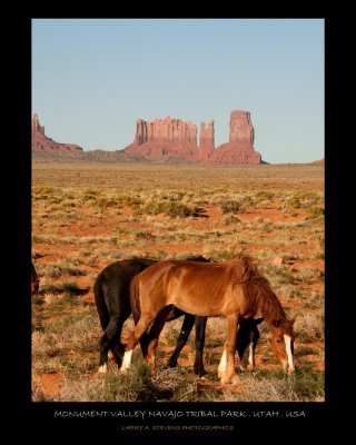 Monument Valley - Horses-1
