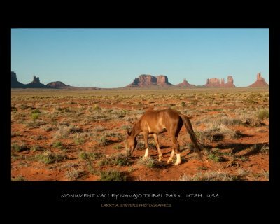 Monument Valley - Horses-5