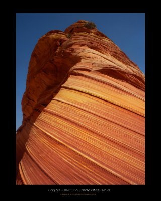 Twisted Earth - Coyote Buttes-2