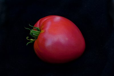 'Oxheart Pink' Heirloom Tomato