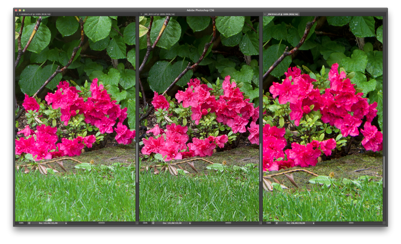 Lower center crops