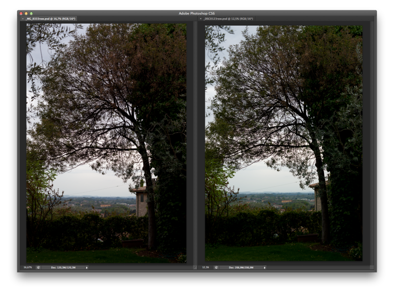 Testing dynamic range