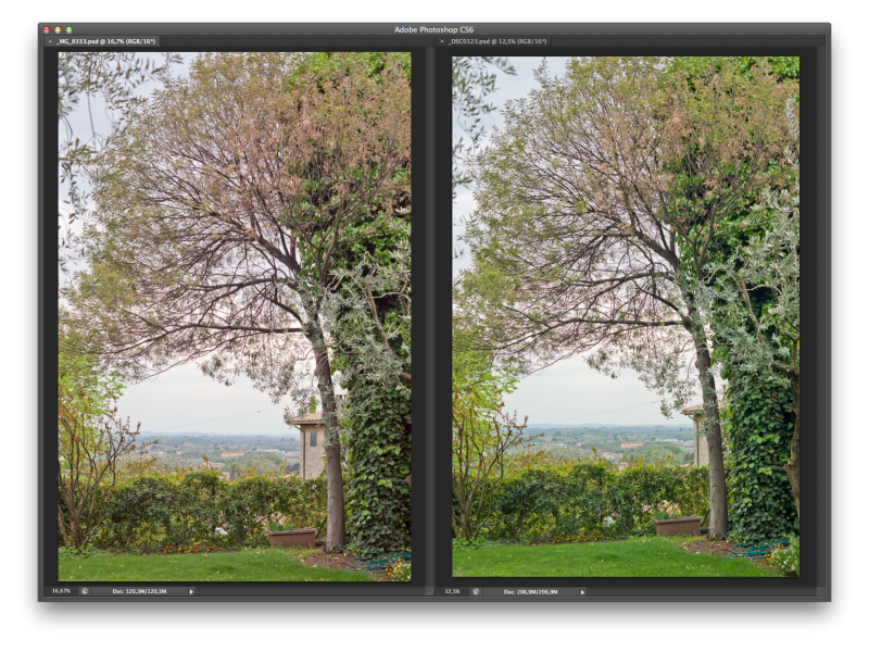 Testing dynamic range +100 Fill Light