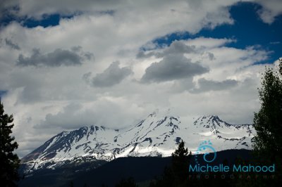 DSC_3180.jpg