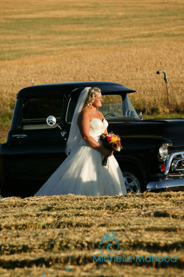 673S1095.jpg