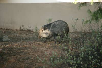 IMG_0026.jpg