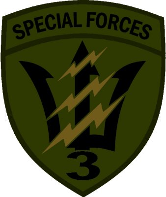 Patc JTF3 Special forces copy.jpg