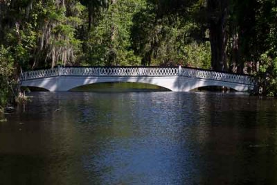 Magnolia White Bridge