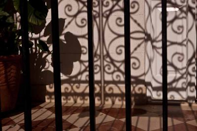 Ironwork Shadows