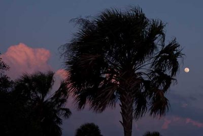 Moon at Sunset in Charleston