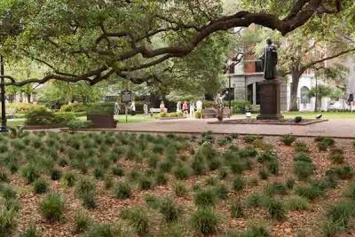 A Typical Savannah Square