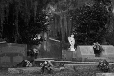 Bonaventure Cemetery (37)