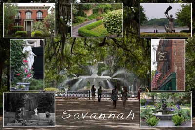 We Loved Savannah