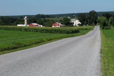 A Favorite Amish Country Road